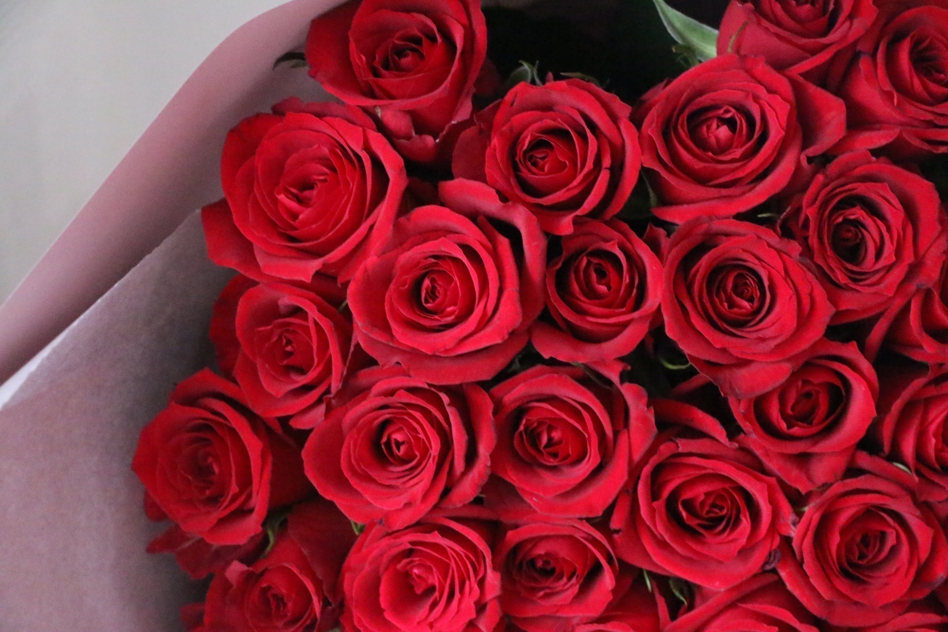 プロポーズの花束はどこで買う?おすすめの購入先や予約のタイミングをご紹介!