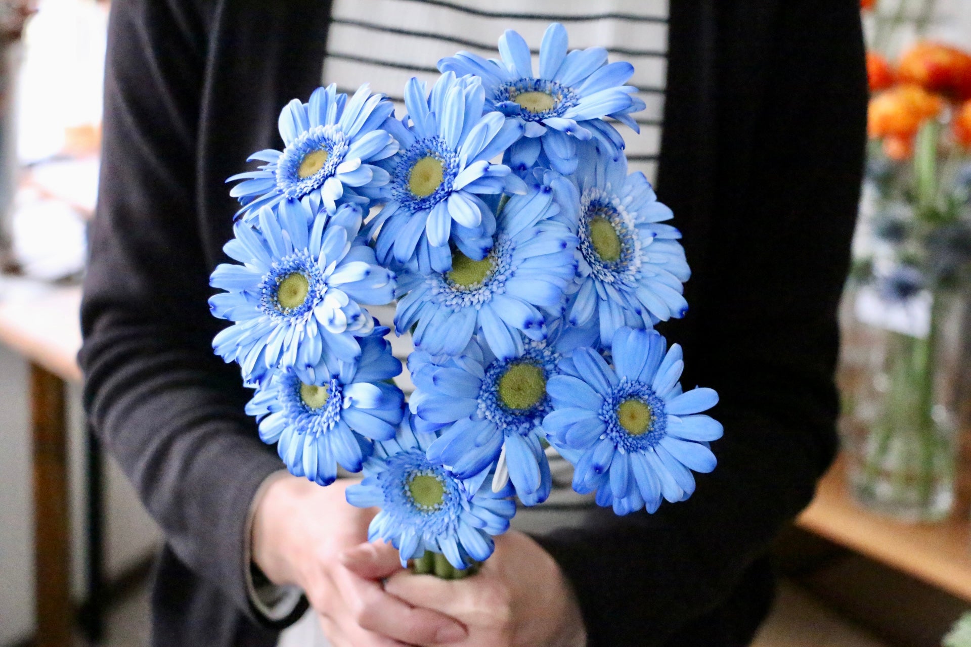 新入荷 青色（染め）のガーベラだけのブーケ（10本） – HanaTaku Flower Leasing