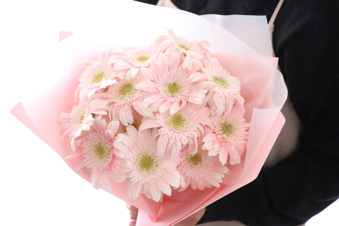 ピンク色のガーベラの花束(13本)-永遠の友情