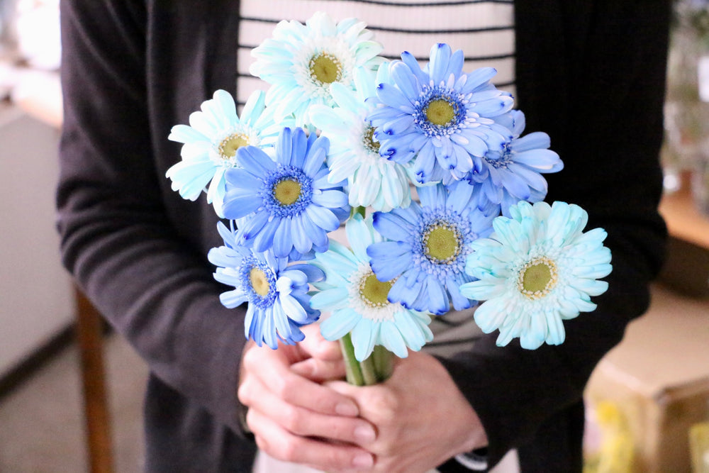 青色・水色ガーベラの花束