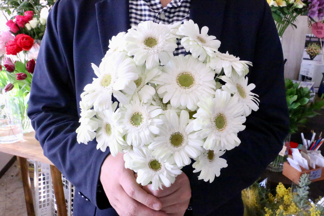 白色のガーベラの花束