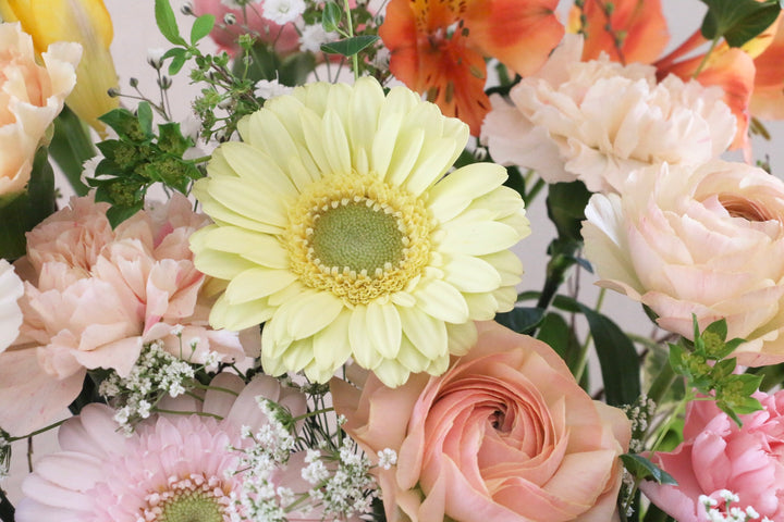 ピンク・黄色のアレンジメント 黄色ガーベラのアップ