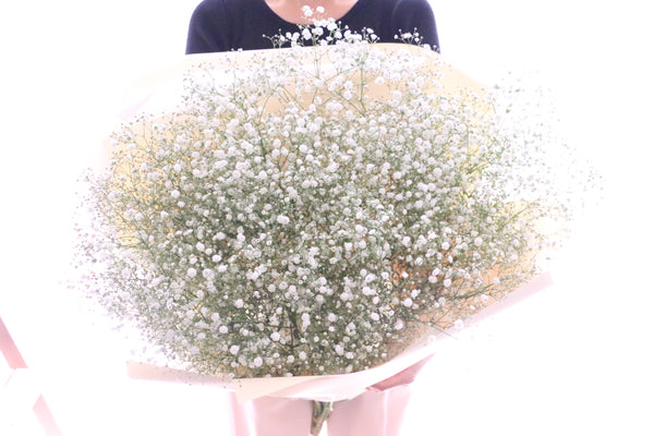 【プロポーズの花束】カスミソウの花束(10本)