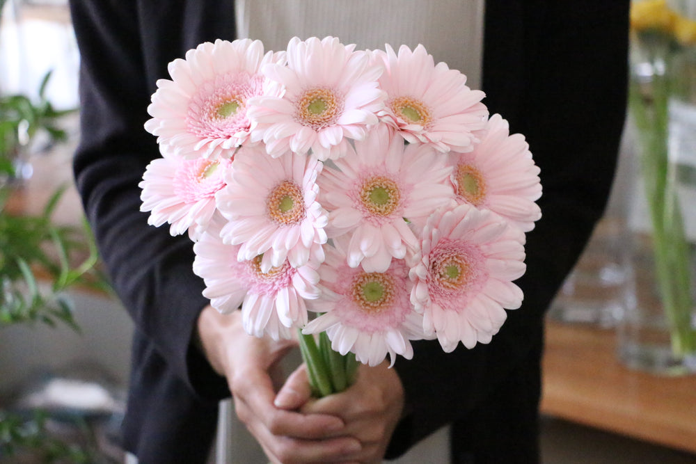 ピンク色ガーベラの花束