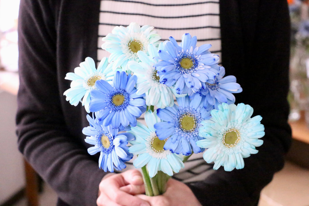 青色・水色ガーベラの花束