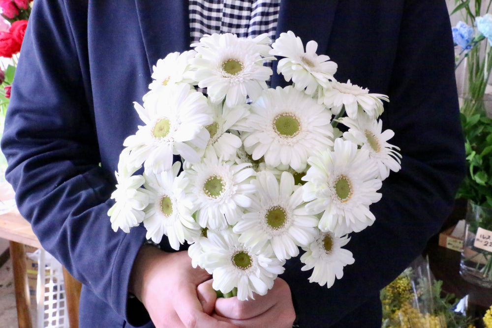 白色のガーベラの花束