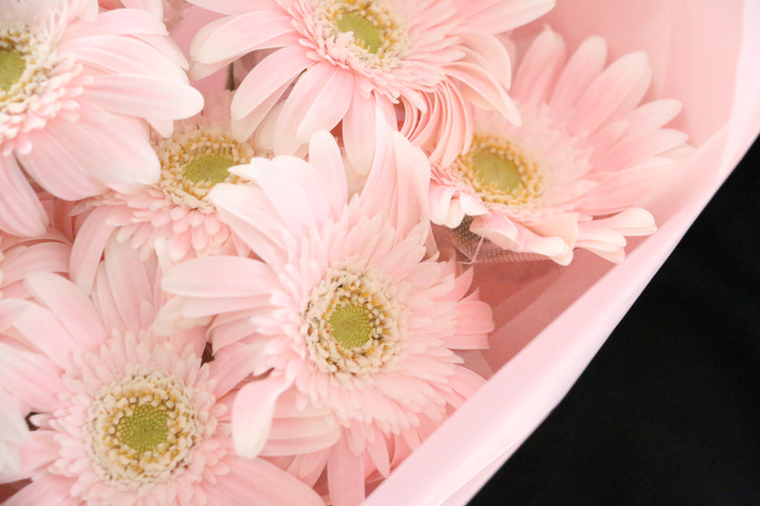 ピンク色のガーベラの花束(11本)-最愛