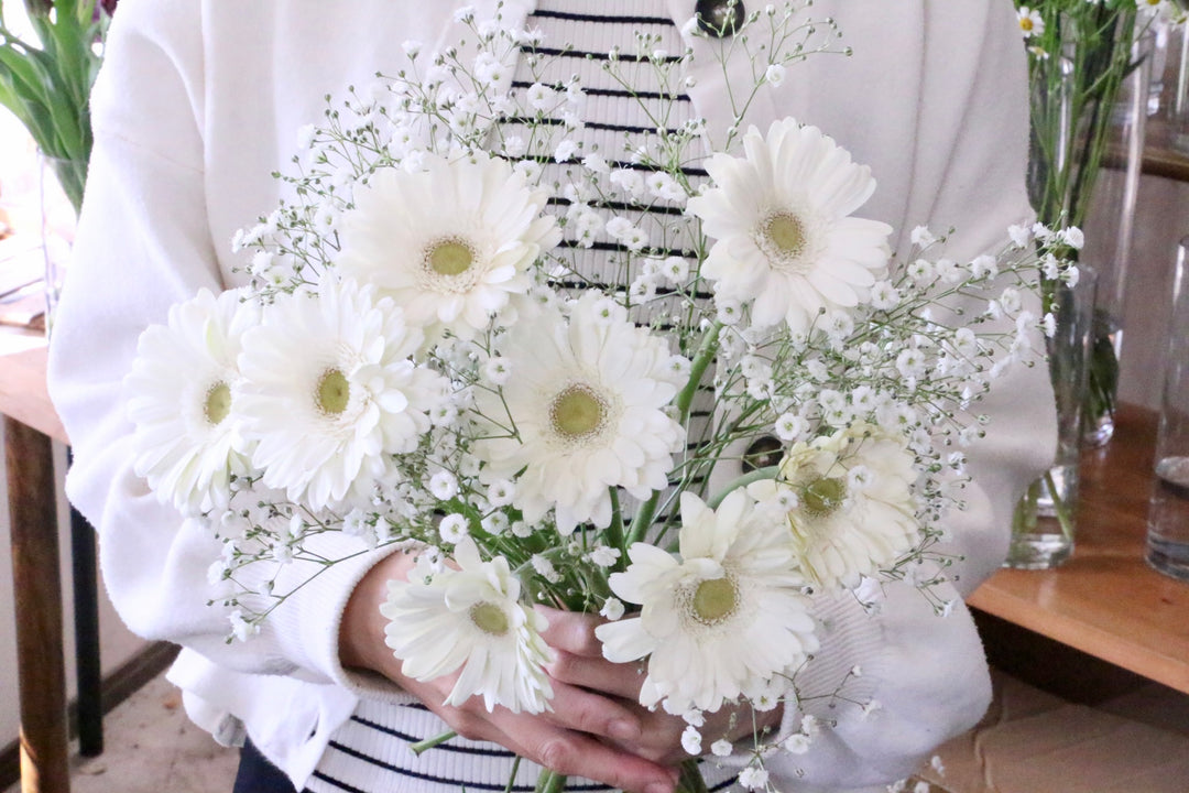 かすみ草(カスミソウ)と白色ガーベラの花束