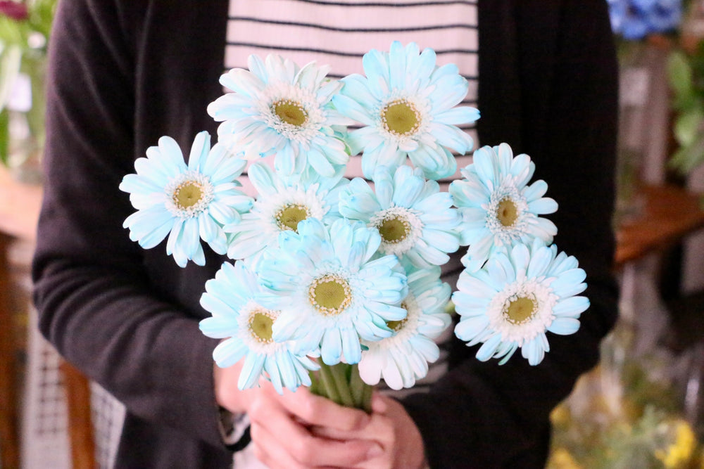 水色ガーベラの花束