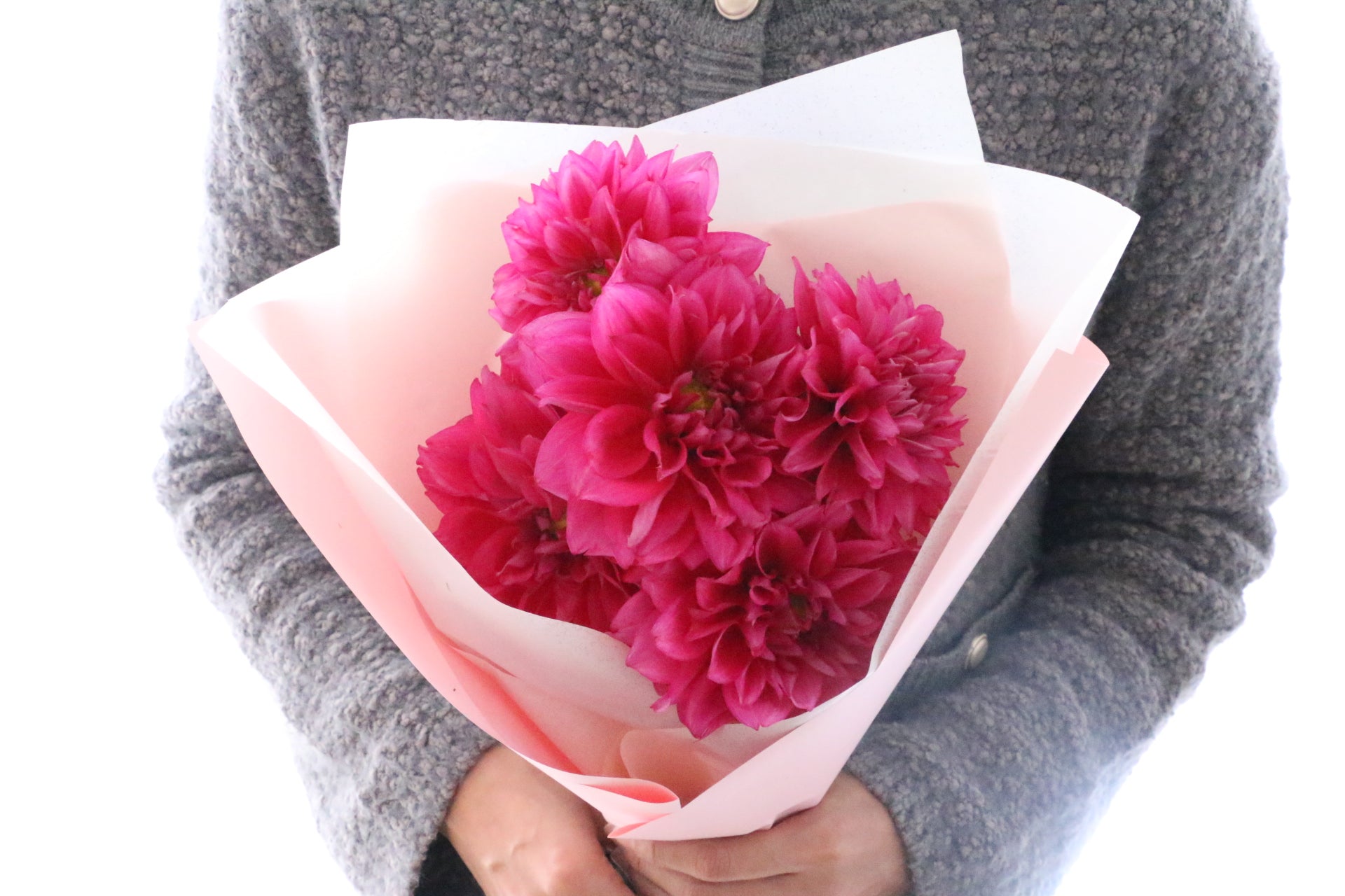 ピンク ダリア花束 ダリア 黒蝶 のおしゃれな花束