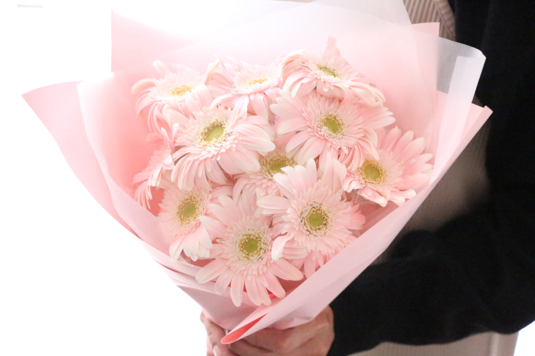 ピンク色のガーベラの花束(11本)-最愛