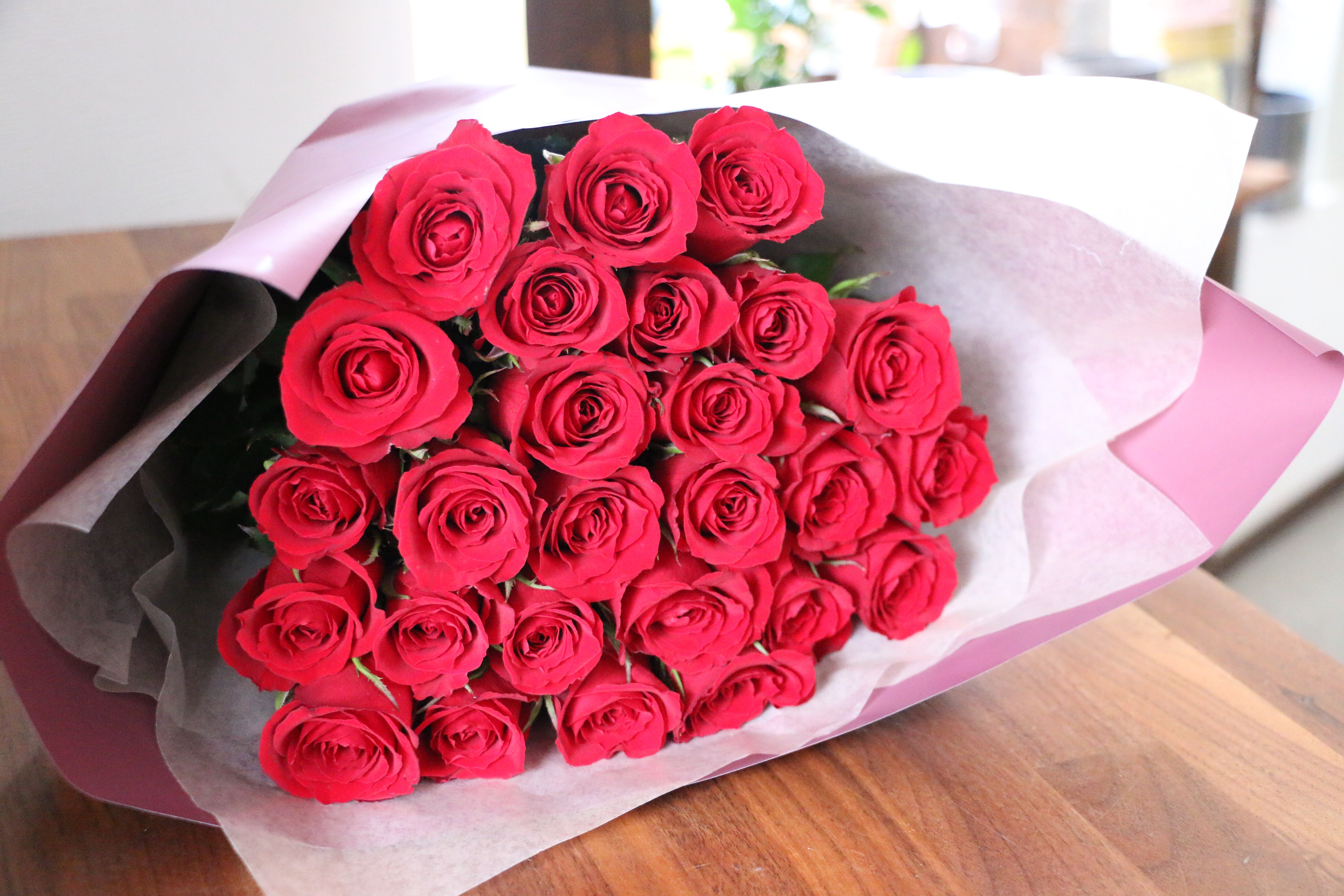 IMG_8611.jpg?v=1750674107