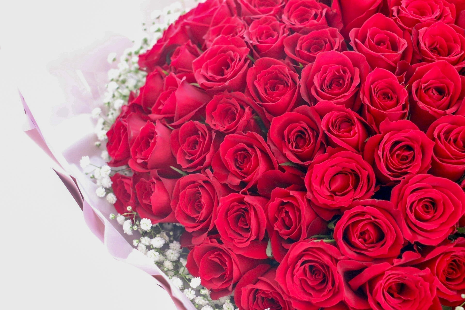 恋愛にまつわる花言葉｜誕生日にも最適な花束選び