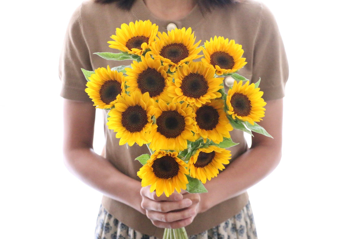 旅行先でのプロポーズに贈るひまわり12本の花束