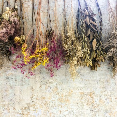 ドライフラワーの作り方は？自作方法やドライにしやすいお花、飾り方もご紹介