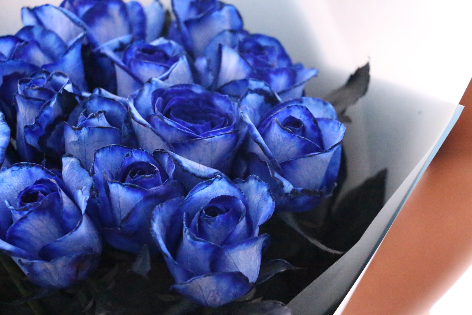 バレンタインに女性から贈る花束｜予算やおすすめの花の種類なども解説！