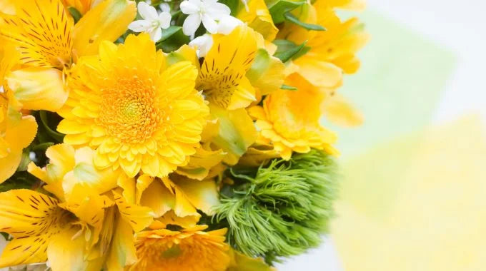 お見舞いのお花のタブーは？喜ばれるおすすめの花の種類や相場を解説