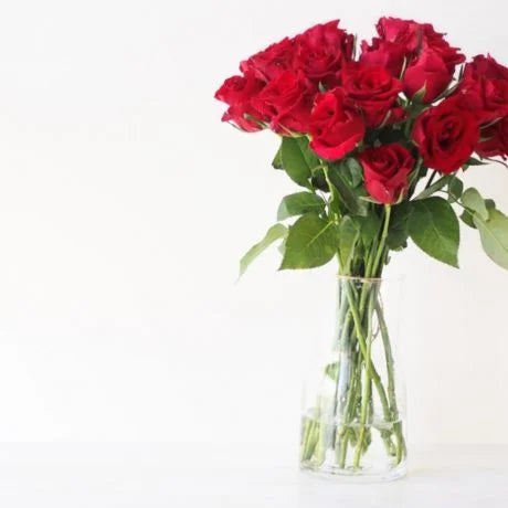 バラの切り花を長持ちさせるお手入れ方法、花言葉、特徴は？