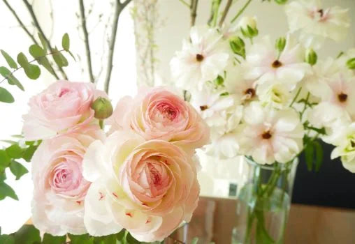 ラナンキュラスの切り花を長持ちさせるお手入れ方法、花言葉、特徴は？