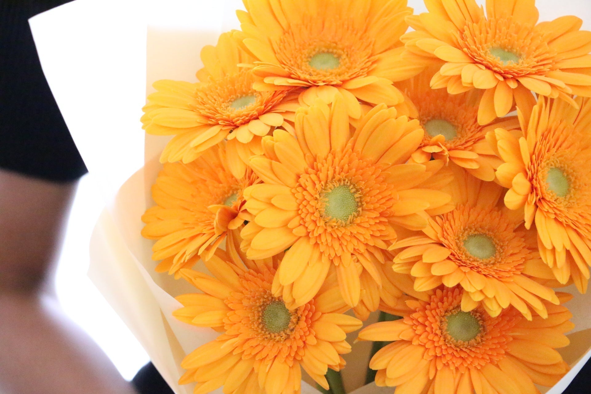 卒業式に彼女に贈る花束｜おすすめの種類や花色もご紹介！