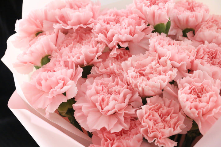 ピンクのカーネーションの花束（20本）