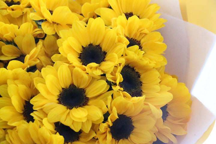 ひまわりの花束（35本）