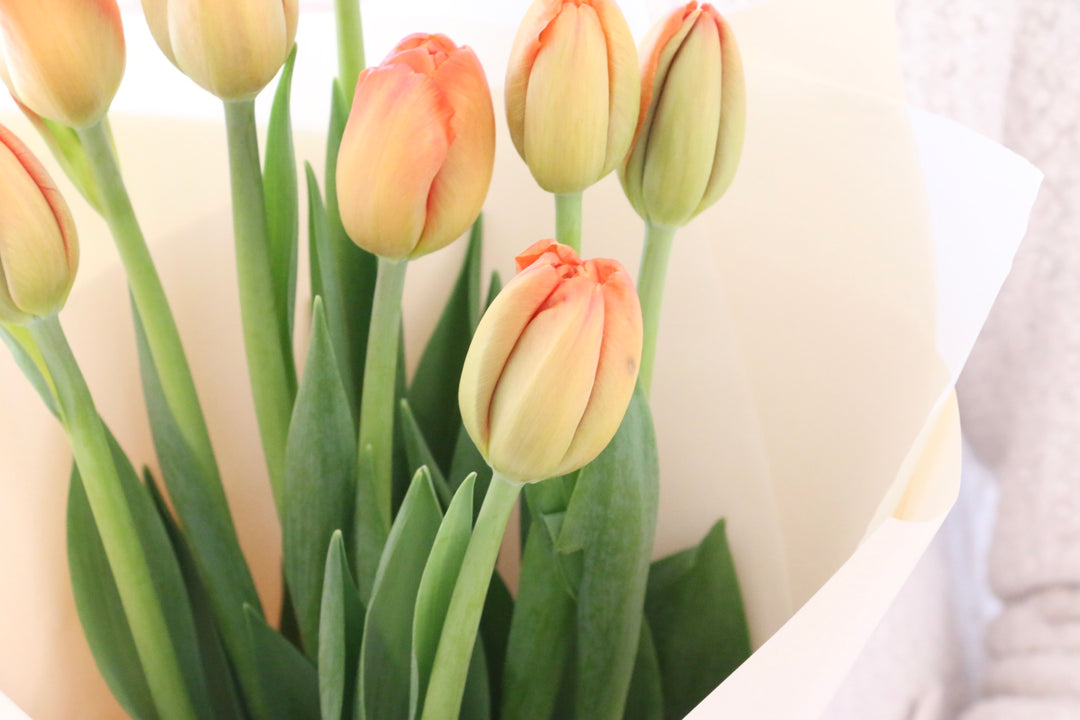 オレンジのチューリップの花束（8本）