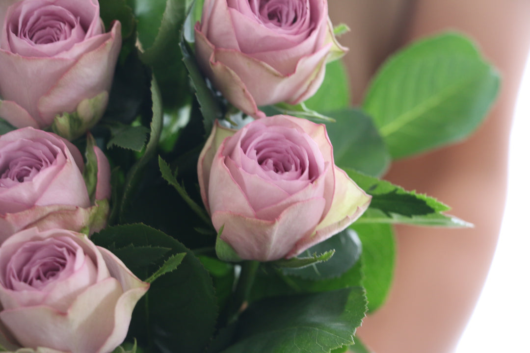 紫色のバラの花束（10本）