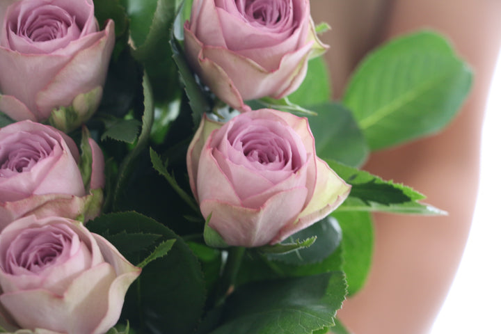 紫色のバラの花束（10本）