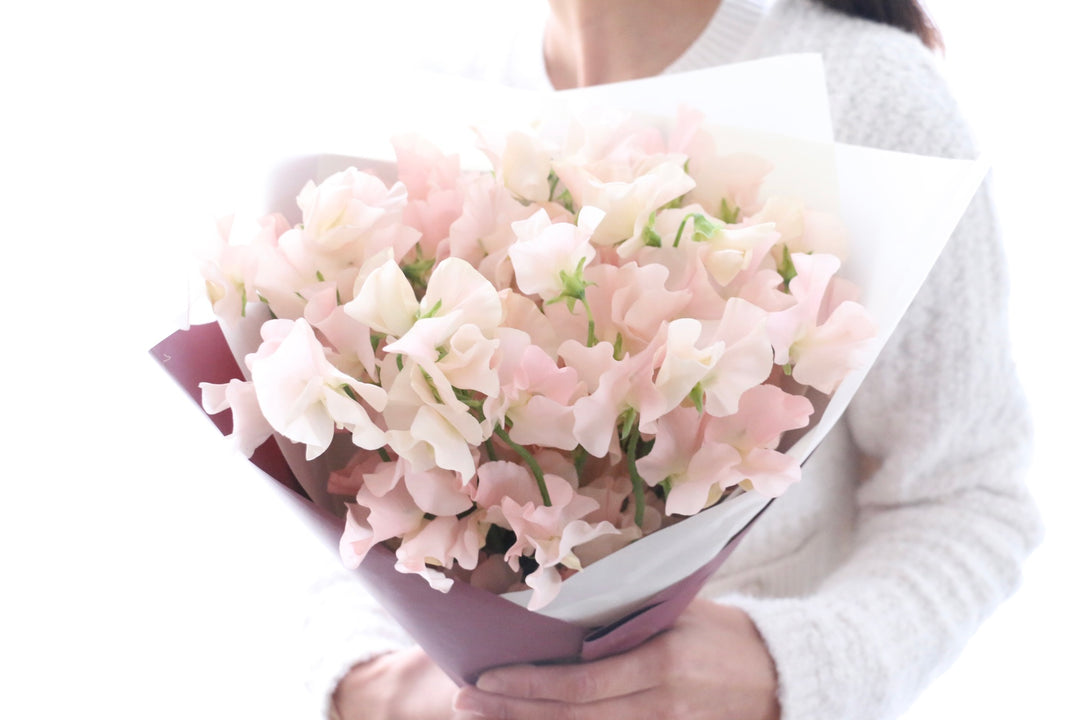 淡いピンク色のスイートピーの花束（25本）