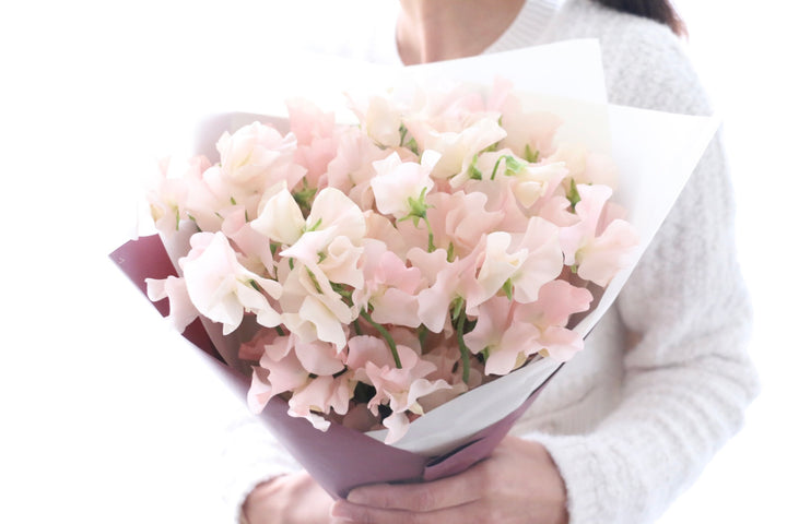 淡いピンク色のスイートピーの花束（25本）