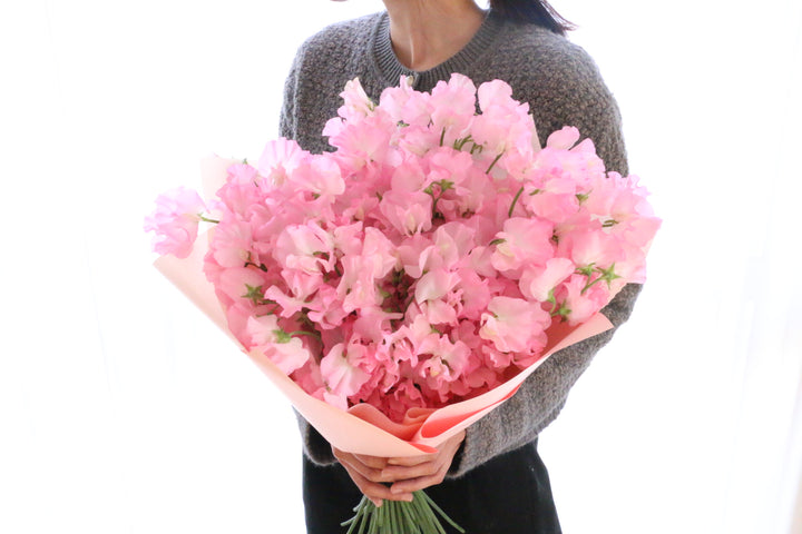 ピンク色のスイートピーの花束（50本）