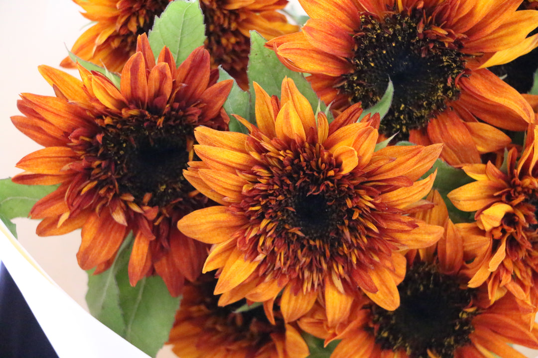 ブラウンのひまわりの花束（9本）