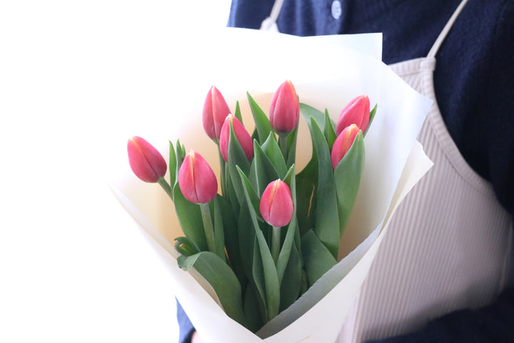 赤色のチューリップの花束（8本）