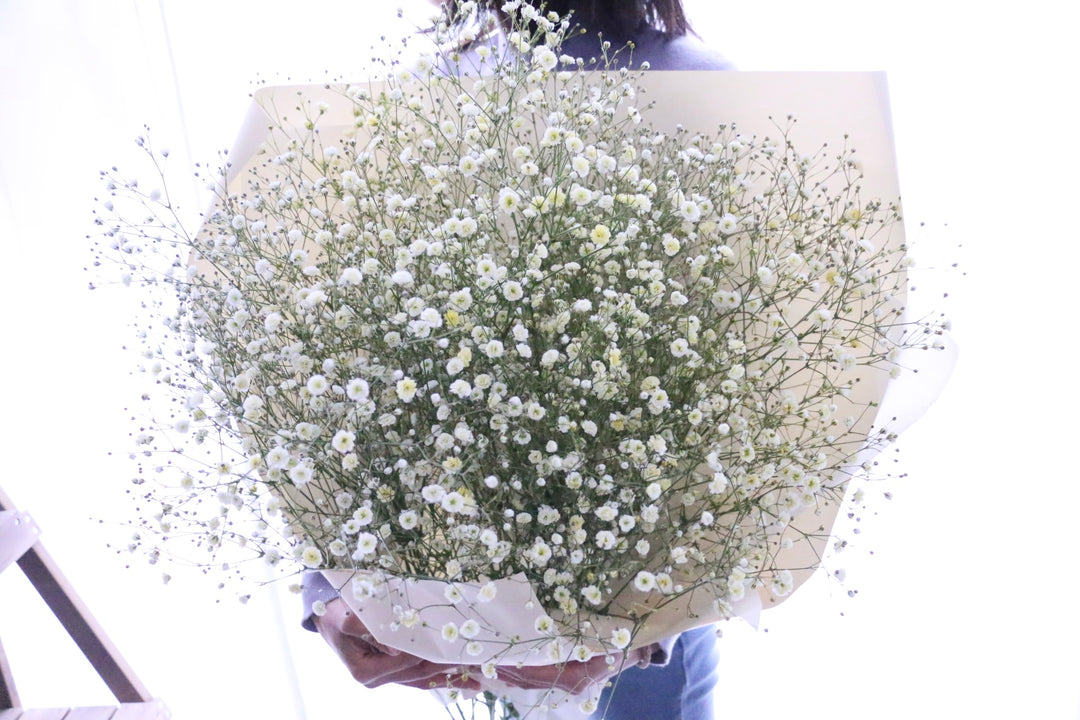 黄色のカスミソウ（かすみ草）の花束 8,000円 Lサイズ
