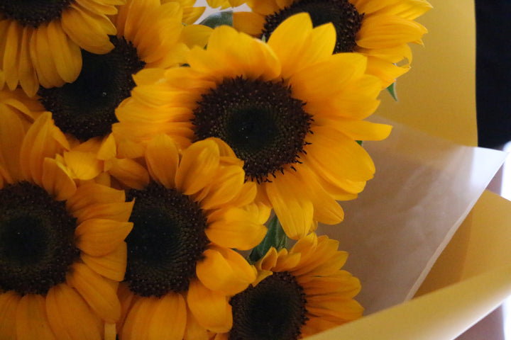 ひまわりの花束（20本）