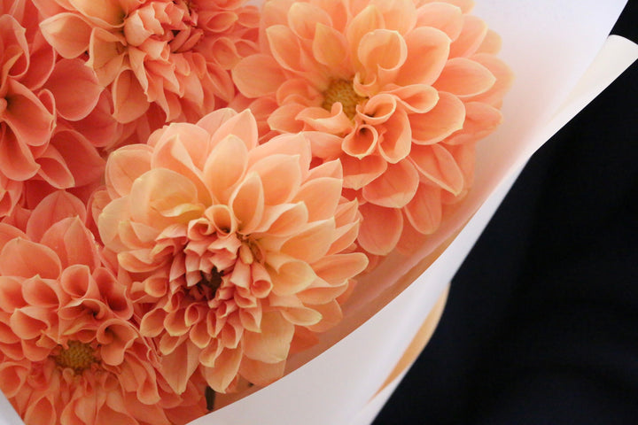 オレンジ色のダリアの花束（5本）