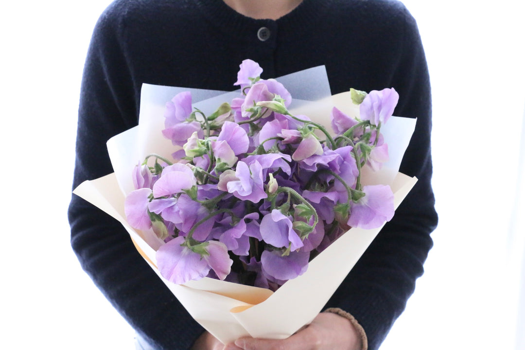 紫のスイートピーの花束（25本）