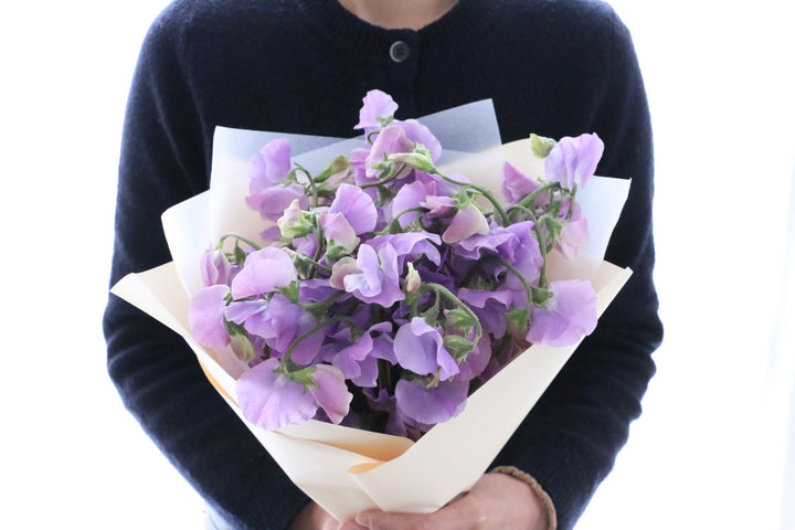 紫のスイートピーの花束（25本）