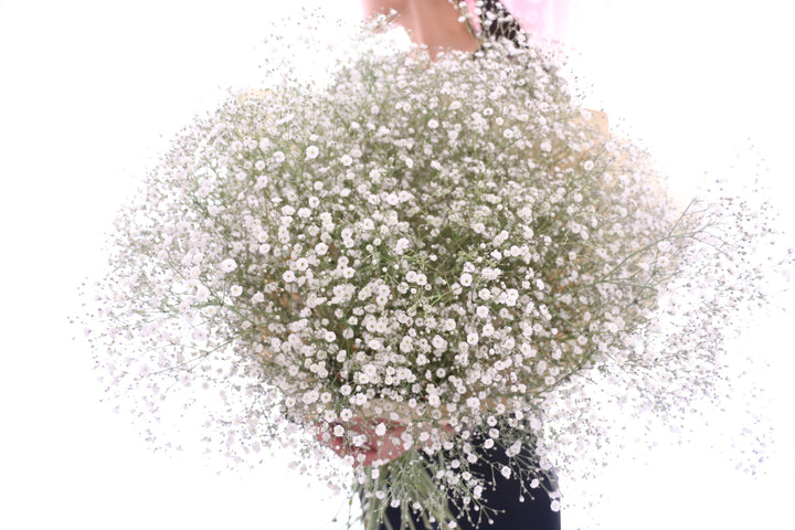 カスミソウの花束（15本）