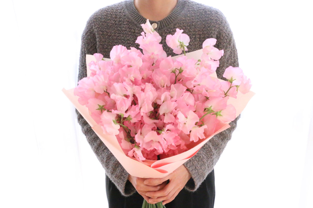 ピンク色のスイートピーの花束（40本）