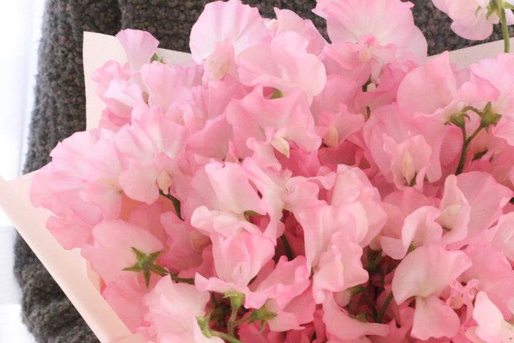ピンク色のスイートピーの花束（40本）