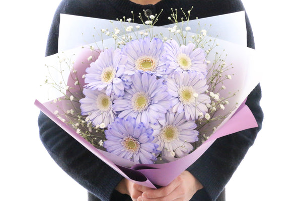 紫色のガーベラ（8本）とカスミソウの花束