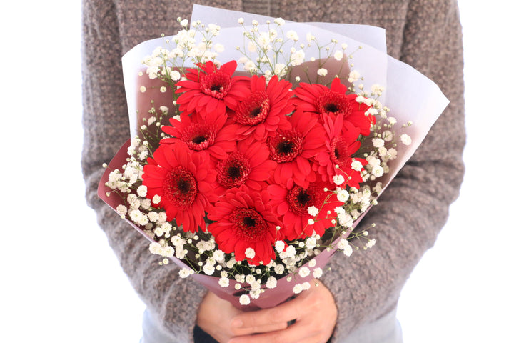 赤色のガーベラ（10本）とカスミソウの花束
