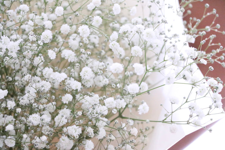 カスミソウ（かすみ草）の花束 4,000円