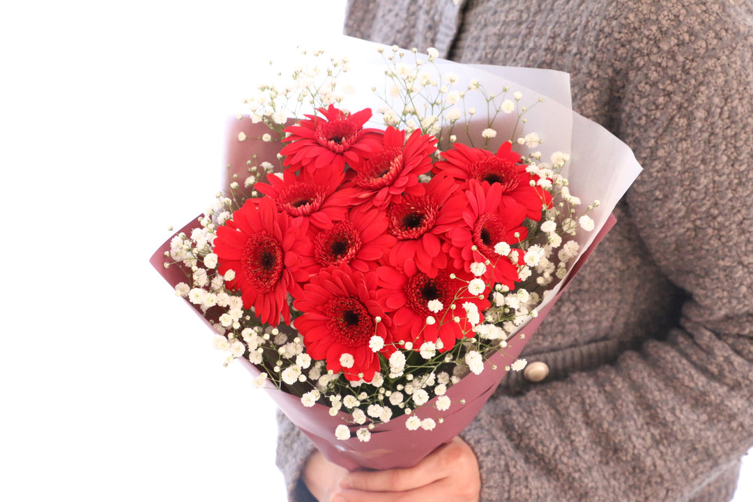 赤色のガーベラ（10本）とカスミソウの花束