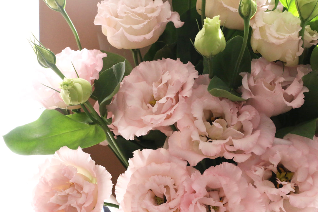 ピンク色のトルコキキョウの花束（10本）