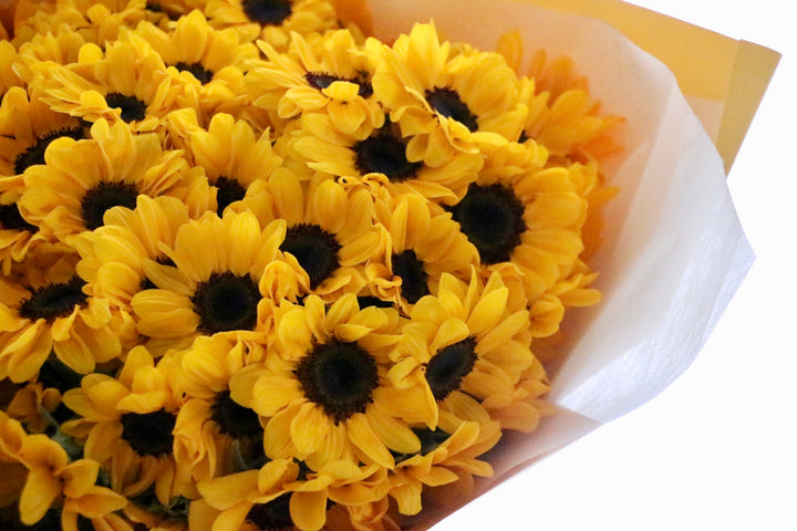 【プロポーズ】ひまわりの花束(108本)