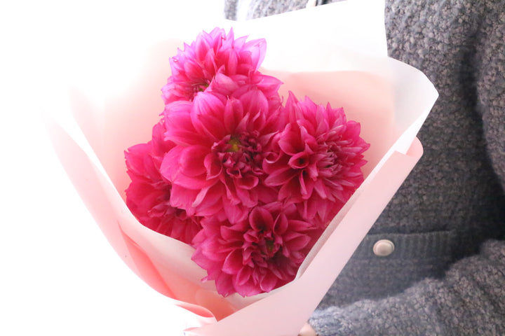 ピンク色のダリアの花束（5本）