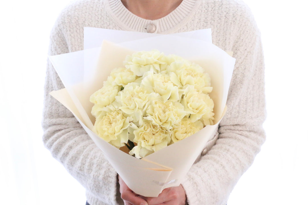 淡い黄色のカーネーションの花束（12本）